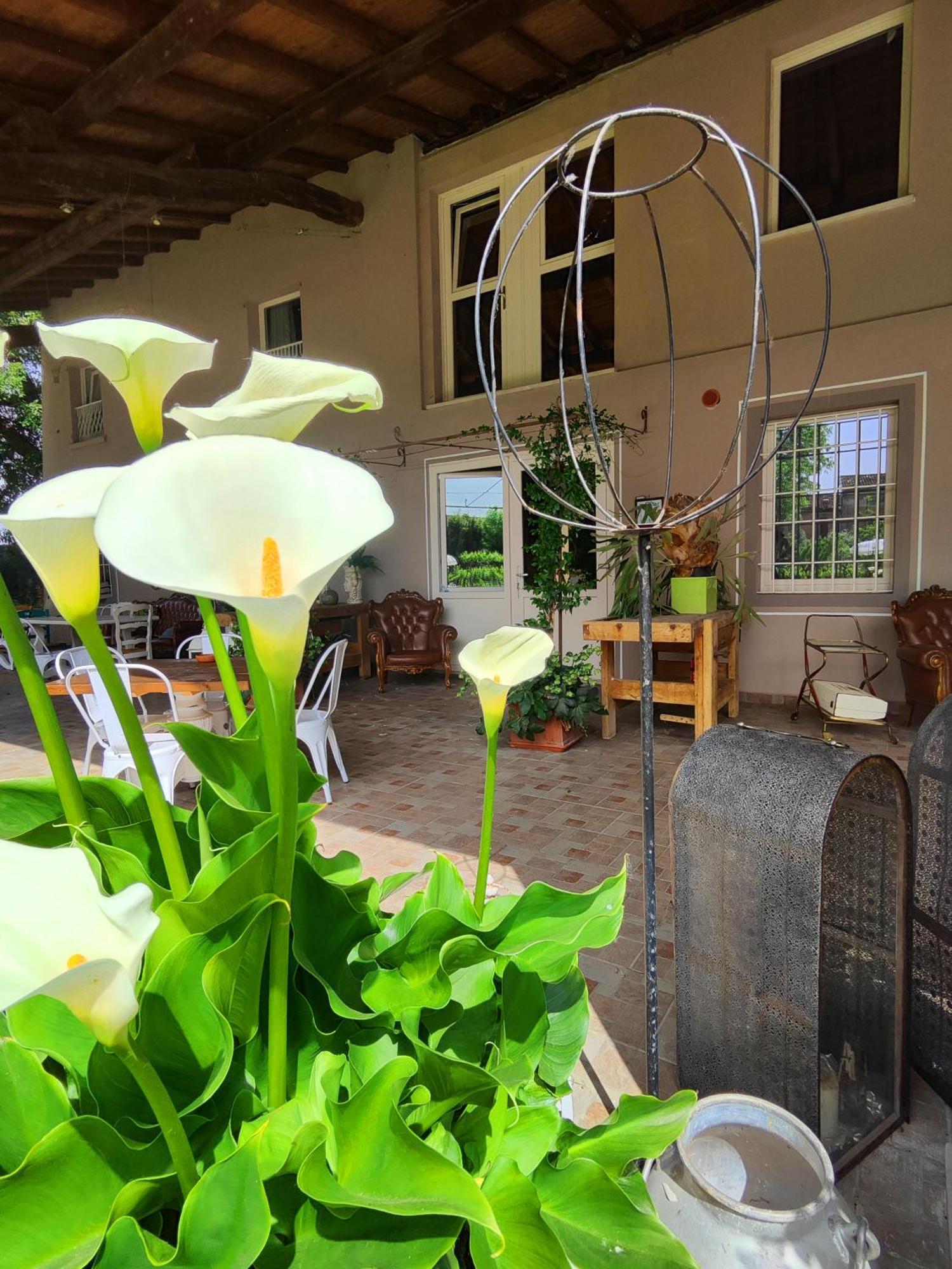 Garda Relais Antica Romelia Bed & Breakfast Montichiari Eksteriør bilde